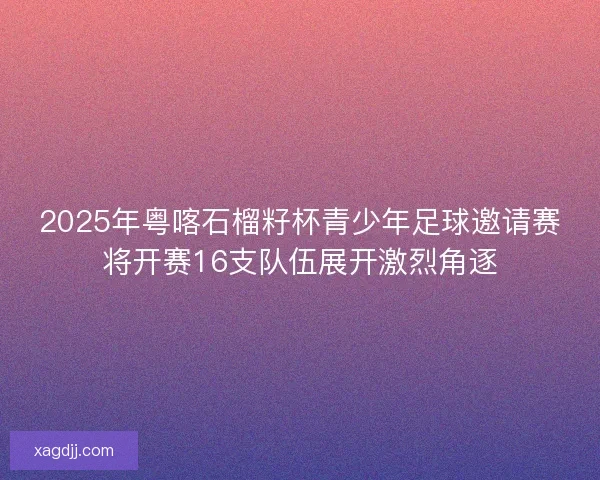 2025年粤喀石榴籽杯青少年足球邀请赛将开赛16支队伍展开激烈角逐