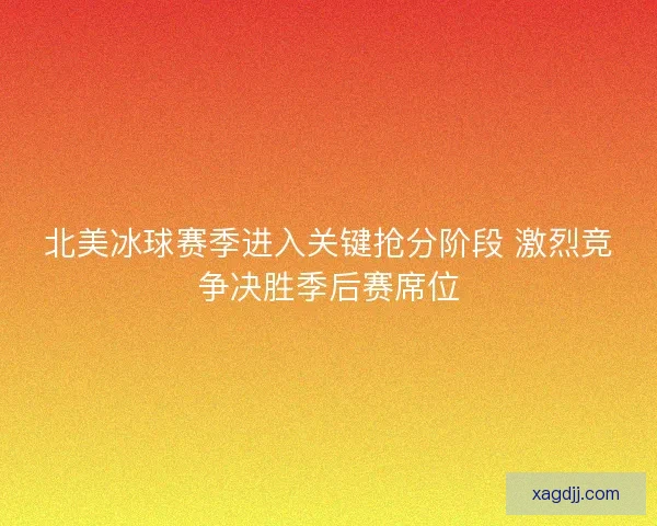 北美冰球赛季进入关键抢分阶段 激烈竞争决胜季后赛席位