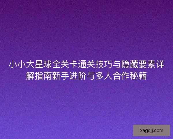 小小大星球全关卡通关技巧与隐藏要素详解指南新手进阶与多人合作秘籍